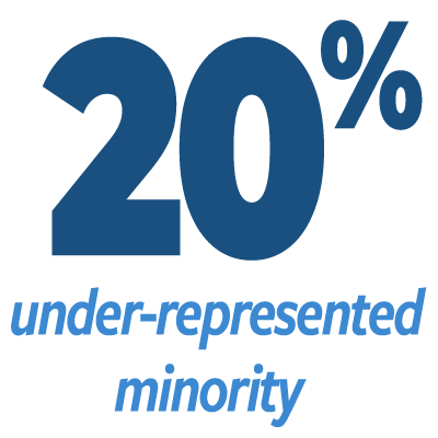 20% under-represented minority