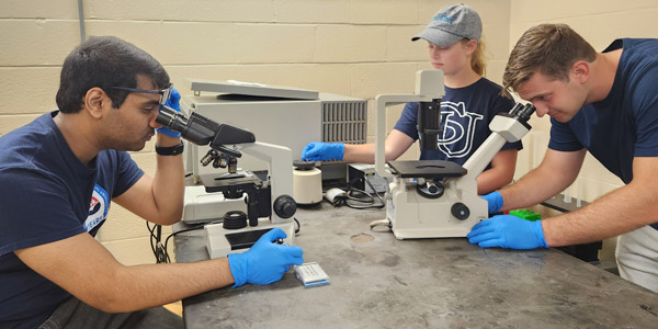 Shippensburg University biology majors, Aryan Gaonkar, Cameron Lyons and Aubrey McBride, in the lab