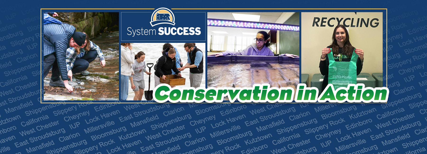 System Success Conservation in Action