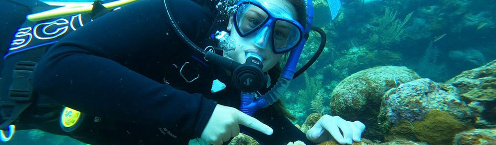 Alyssa Lutz diving in Honduras
