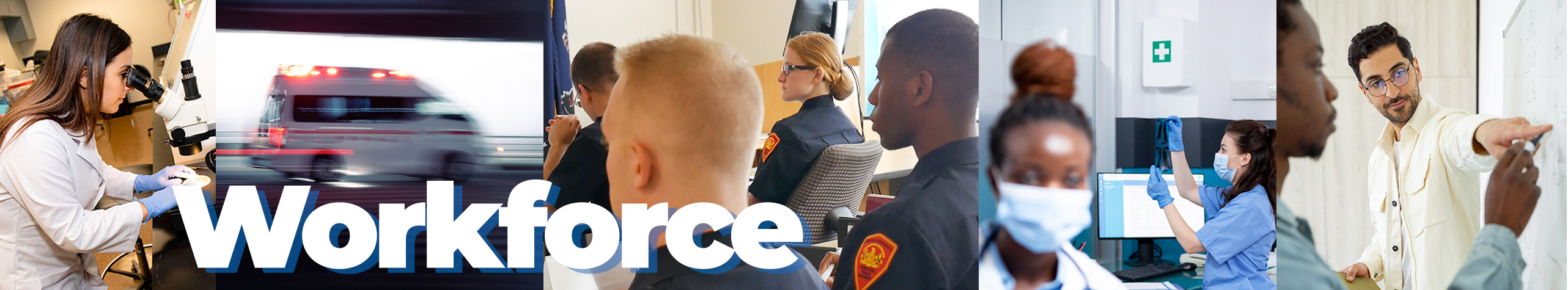 Workforce